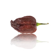Purple Reaper Chili Pepper Seeds, Heated Garden Vegetables