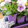 Seed Starter Pots - 2.5" Extra Strength By Bootstrap Farmer