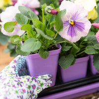 Seed Starter Pots - 2.5" Extra Strength By Bootstrap Farmer