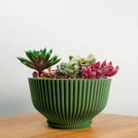 Bonsai Pot with Drainage & Tray In Many Colors & Sizes