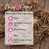 Ranunculus 20 Corms - Tecolote Royalty Collection By Easy To Grow Bulbs