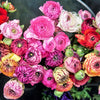 Ranunculus 30 Corms - Tecolote Flower Fields Collection By Easy To Grow Bulbs