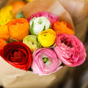 Ranunculus 10 Corms - Tecolote Rainbow Mix - By Easy To Grow Bulbs