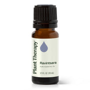 Ravintsara Essential Oil By Plant Therapy