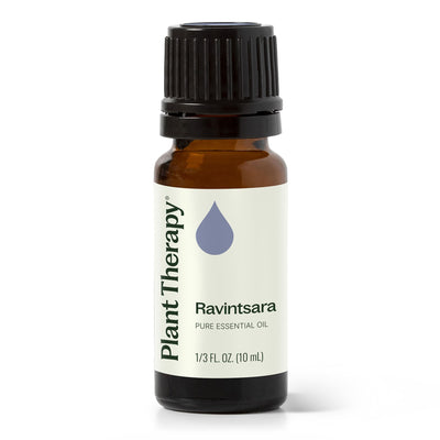 Ravintsara Essential Oil By Plant Therapy
