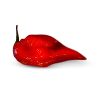 Red Devils Tongue Pepper Seeds, Garden Vegetables