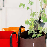 Grow Bags - 7 Gallon Colored Fabric Pots By Bootstrap Farmer