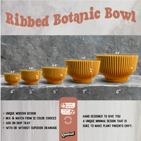 Bonsai Pot with Drainage & Tray In Many Colors & Sizes