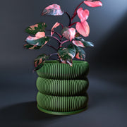 Ribbed Bubble Plant Pot With Drainage and Saucer, In Many Colors!