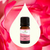 Rose Absolute Essential Oil By Plant Therapy
