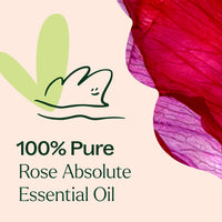 Rose Absolute Essential Oil By Plant Therapy