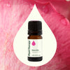 Rose Otto Essential Oil By Plant Therapy