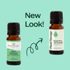 Rosemary 1,8-Cineole Essential Oil By Plant Therapy