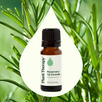 Rosemary 1,8-Cineole Essential Oil By Plant Therapy
