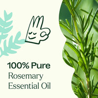 Rosemary 1,8-Cineole Essential Oil By Plant Therapy