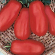 San Marzano Tomato Seeds, Italian Garden Vegetables
