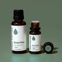 Scots Pine Essential Oil By Plant Therapy