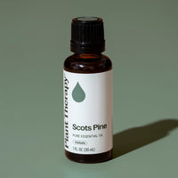 Scots Pine Essential Oil By Plant Therapy