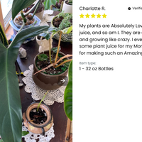 Plant Juice By Elm Dirt