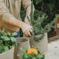Grass Roots Classic Fabric Pots By C-Bite, Made In The USA