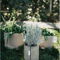 Grass Roots Classic Fabric Pots By C-Bite, Made In The USA