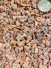 Sedona Red - Topper By Sol Soils