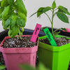 Multi-Color Garden Plant Labels | 100 count