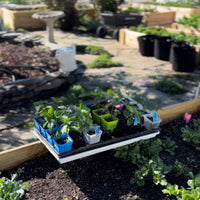 Seed Starter Pots - 2.5" Extra Strength By Bootstrap Farmer