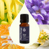Sleep Tight Essential Oil Blend By Plant Therapy