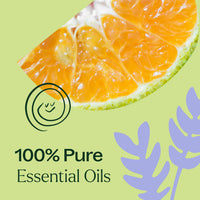 Sleep Tight Essential Oil Blend By Plant Therapy