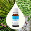 Sniffle Stopper KidSafe Essential Oil By Plant Therapy
