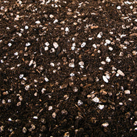 Cactus and Succulent Plant Growers Soil By The Cactus Outlet