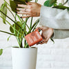 Organic Soil & Root Boost With Beneficial Microbes By Arber