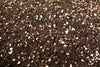 Cactus and Succulent Plant Growers Soil By The Cactus Outlet