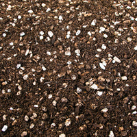 Cactus and Succulent Plant Growers Soil By The Cactus Outlet