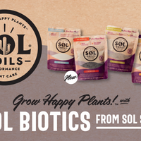 Sol Biotics - Repot Recovery By Sol Soils