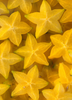 Averrhoa carambola, Star Fruit Tree - Seedling Live Plant