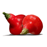Spinning Top Pepper Seeds, Garden Vegetables