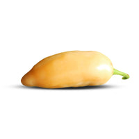 Sugar Rush Peach Pepper Seeds (Non-Isolated), Garden Vegetables