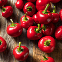 Sweet Cherry Pepper Seeds, Bite Size Garden Vegetables