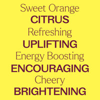 Sweet Orange Essential Oil By Plant Therapy