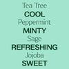 Tea Tree & Peppermint Body Wash By Plant Therapy