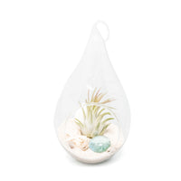 Teardrop Beach Terrarium with White Sand