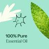 Tension Relief Essential Oil Blend BY Plant Therapy