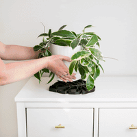 Tera Sausr - Leaf-shaped Pot Saucer - Drip tray for houseplants - Humidity tray