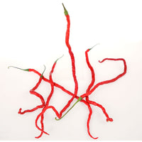 Thunder Mountain Longhorn Chili Pepper Seeds, Zesty Garden Vegetables