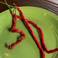Thunder Mountain Longhorn Chili Pepper Seeds, Zesty Garden Vegetables