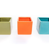 Ceramic Cube Container - Choose Your Custom Color and Tillandsia Air Plant