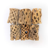 Natural Cholla Wood Container - 3 Inches Tall with Tillandsia Ionantha Air Plant