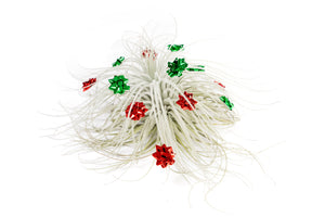 Tillandsia Tectorum Ecuador Air Plants